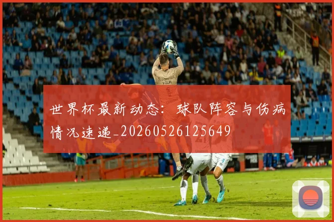 世界杯最新动态：球队阵容与伤病情况速递_20260526125649